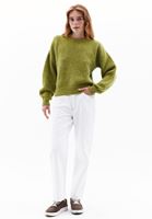 Women Green Alpaca Wool Blended Crew Neck Sweater