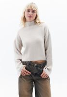 Women Cream Soft Touch Crop Sweater