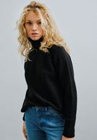 Women Black Wool Blended Turtle Neck Sweater