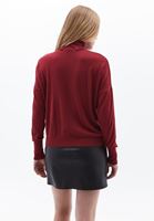 Women Bordeaux Turtle Neck Sweater