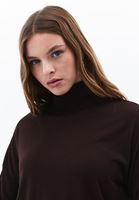 Bayan Kahverengi Uzun Kollu Roll Neck 