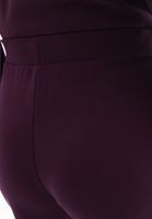 Women Purple High Rise Straight Fit Pants