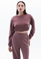 Women Pink Crew Neck Crop Sweatshirt