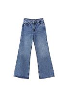 Women Blue High Rise Wide Leg Pants