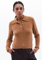 Women Brown Polo Neck HemstitchedSweater