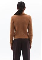 Women Brown Polo Neck HemstitchedSweater