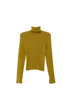 Women Green Turtle Neck Knitwear Sweater