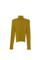 Women Green Turtle Neck Knitwear Sweater