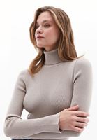 Women Beige Turtle Neck Knitwear Sweater