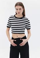 Women Mixed Crew Neck Crop Sweater