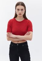 Women Pink Crew Neck Crop Sweater