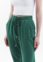 Women Green Linen Blended Carrot Fit Pants