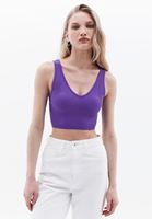 Women Purple V-Neck Seamless Crop Singlet