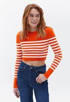 Bayan Çok Renkli Çizgili Crop Triko