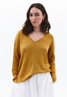 Women Brown V-Neck Knit Sweater