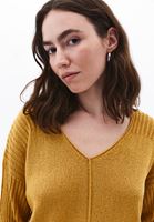 Women Brown V-Neck Knit Sweater