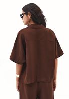 Bayan Kahverengi Keten Karışımlı Oversize Bluz ( TENCEL™ )