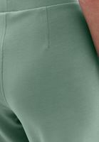 Bayan Yeşil Modal Yüksek Bel Straight-Fit Pantolon