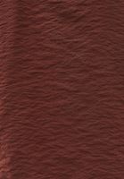 Women Brown Beaded Detail Blouse